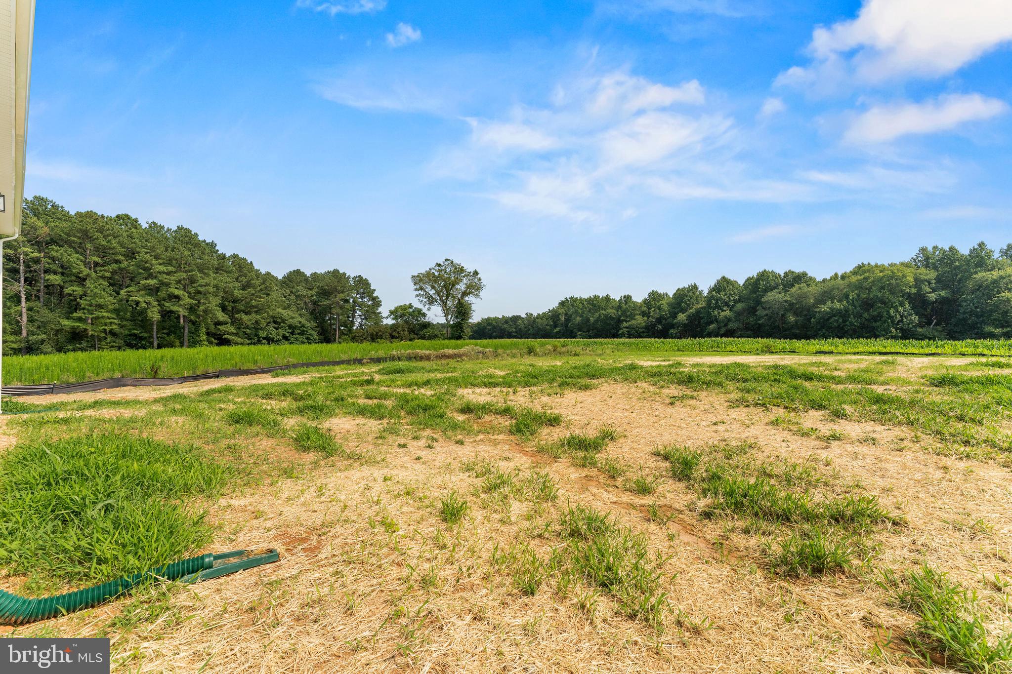 6501 Courthouse Road Spotsylvania, VA 22551 - Photo 49 of 58 Gallery Image 49