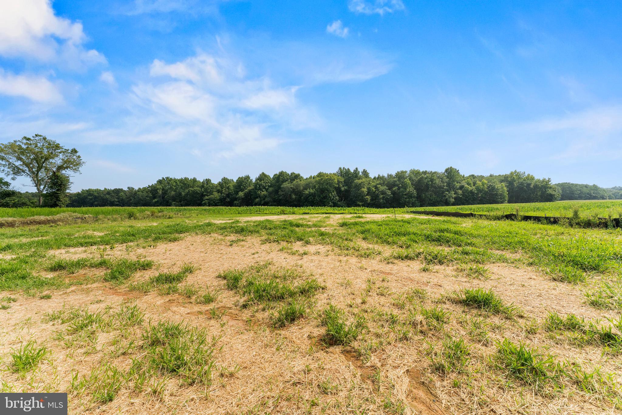 6501 Courthouse Road Spotsylvania, VA 22551 - Photo 51 of 58 Gallery Image 51