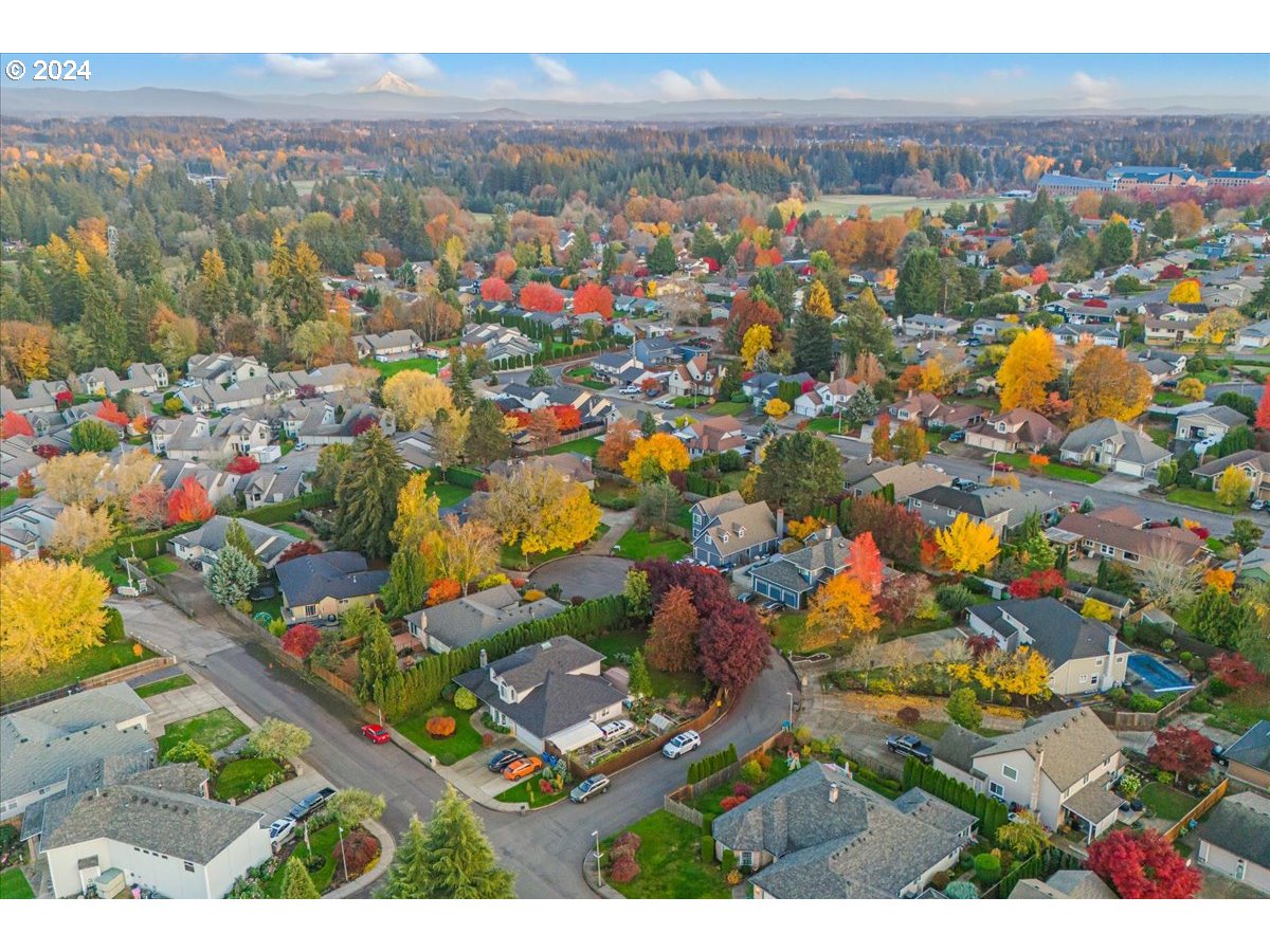 16507 Northeast 30th Court Ridgefield, WA 98642 - Photo 5 of 48 a view of city and mountain