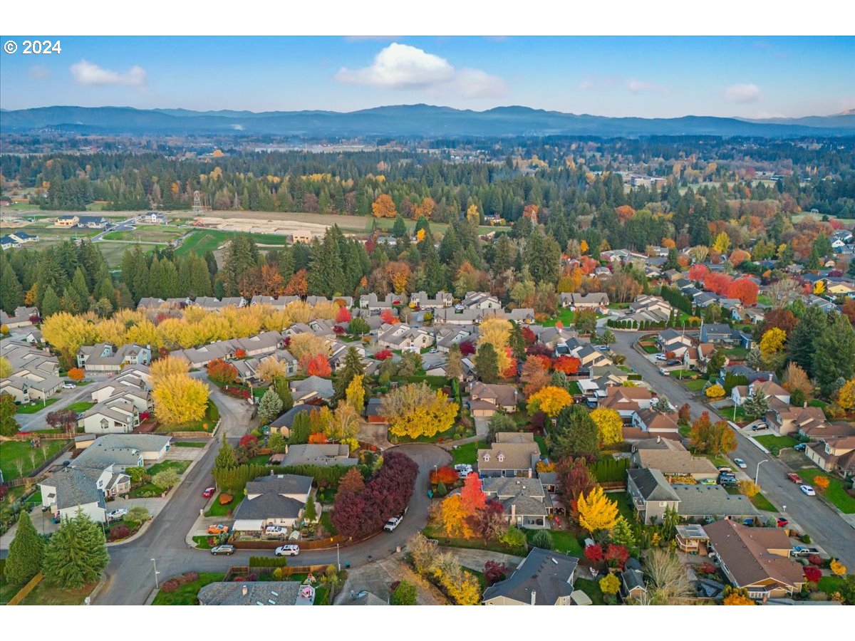 16507 Northeast 30th Court Ridgefield, WA 98642 - Photo 9 of 48 a view of a city with mountains in the background