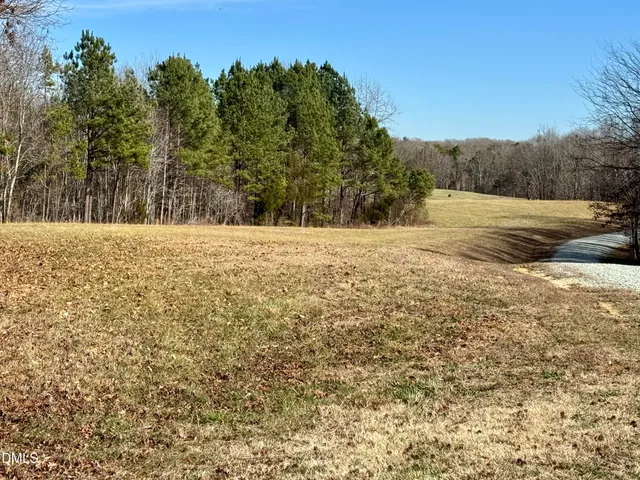 a view of big yard with large trees