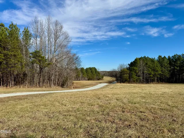 a view of dirt yard with large trees
