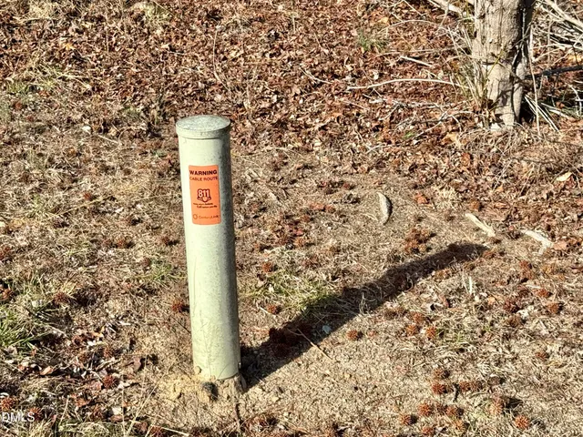a view of a yard with palm tree