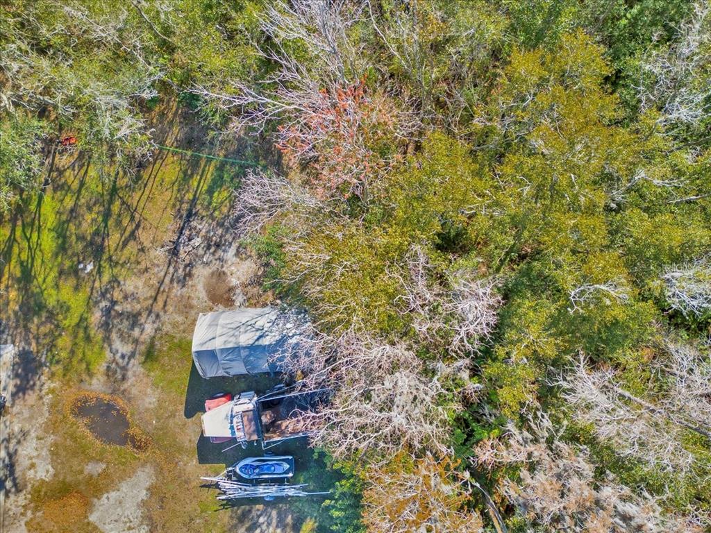 6124 Lynn Road Tampa, FL 33625 - Photo 17 of 84