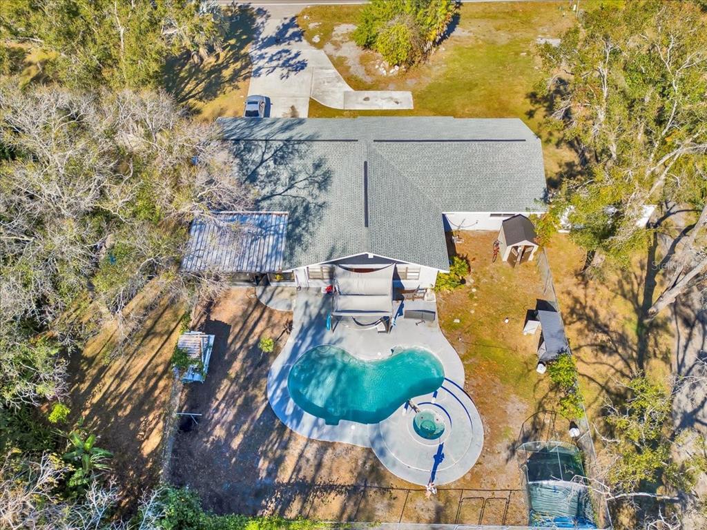 6124 Lynn Road Tampa, FL 33625 - Photo 19 of 84 an aerial view of a house with swimming pool and large trees
