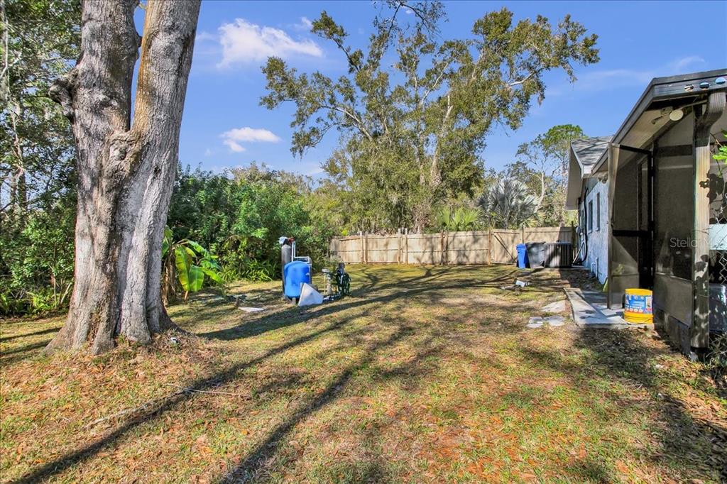 6124 Lynn Road Tampa, FL 33625 - Photo 35 of 84