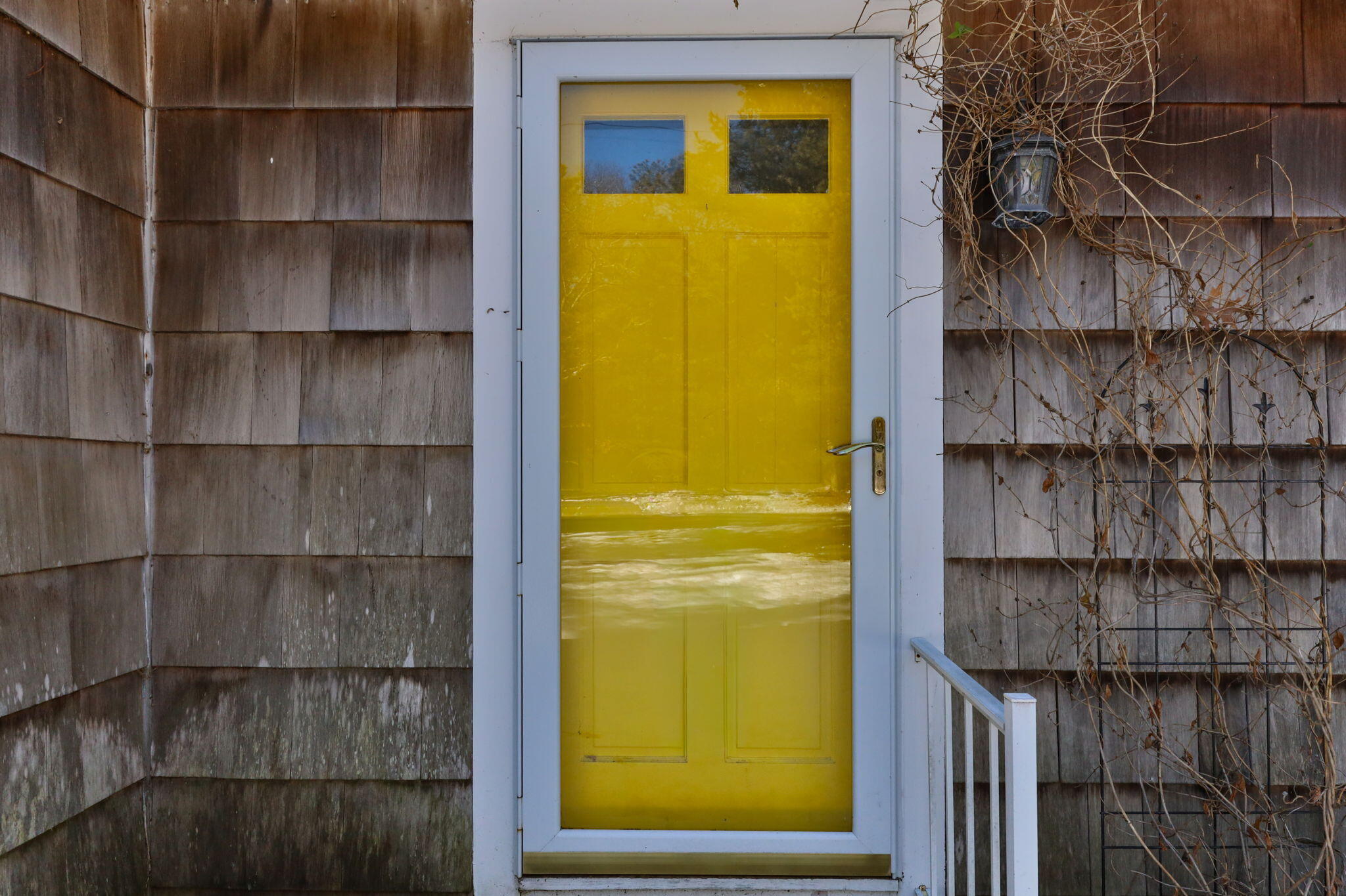 351 Swift Avenue Osterville, MA 02655 - Photo 4 of 29 4-web-or-mls-351-swift-ave