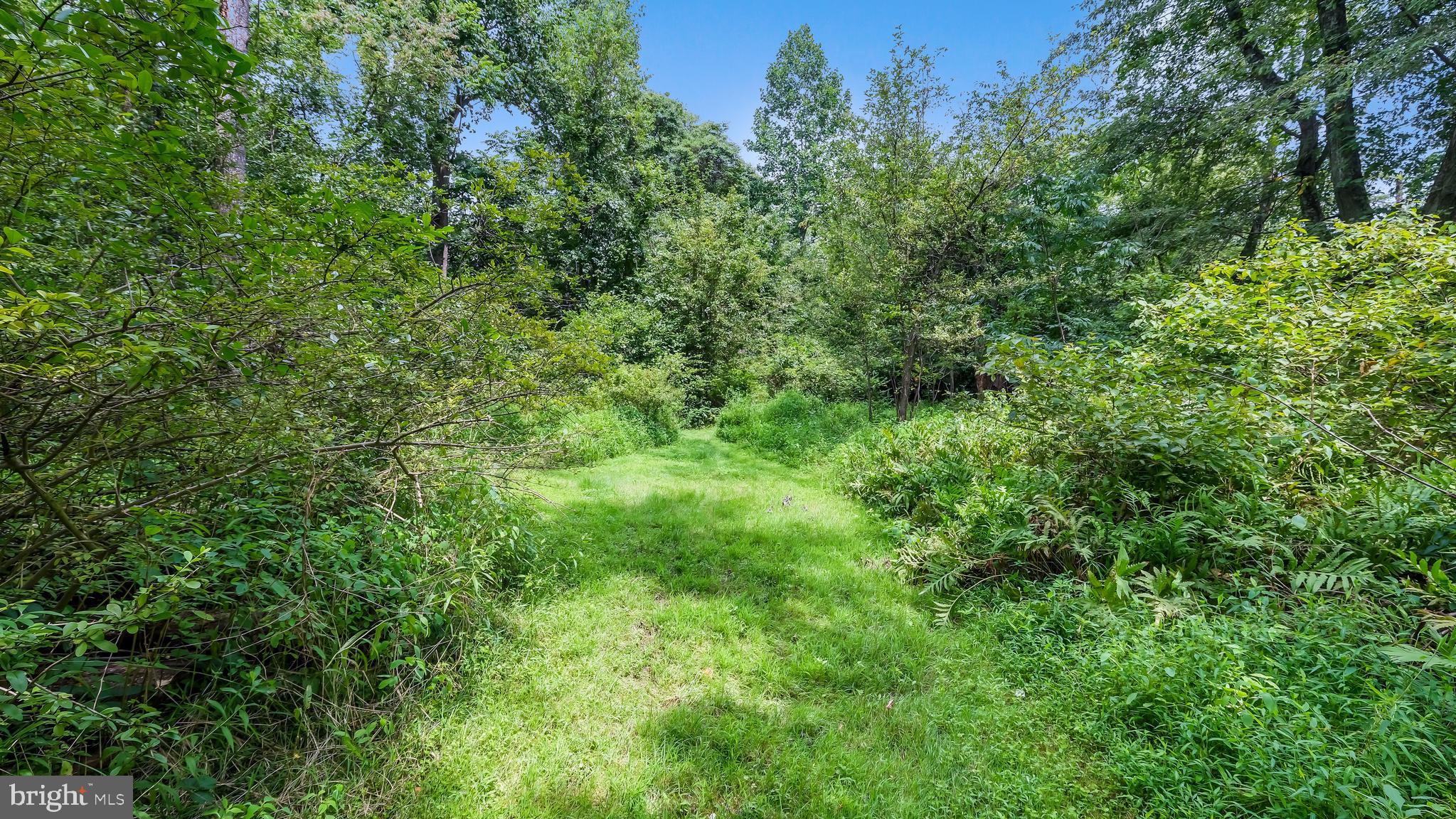3751 Detweiler Road Chalfont, PA 18914 - Photo 57 of 61 Rear Woods w/Trails