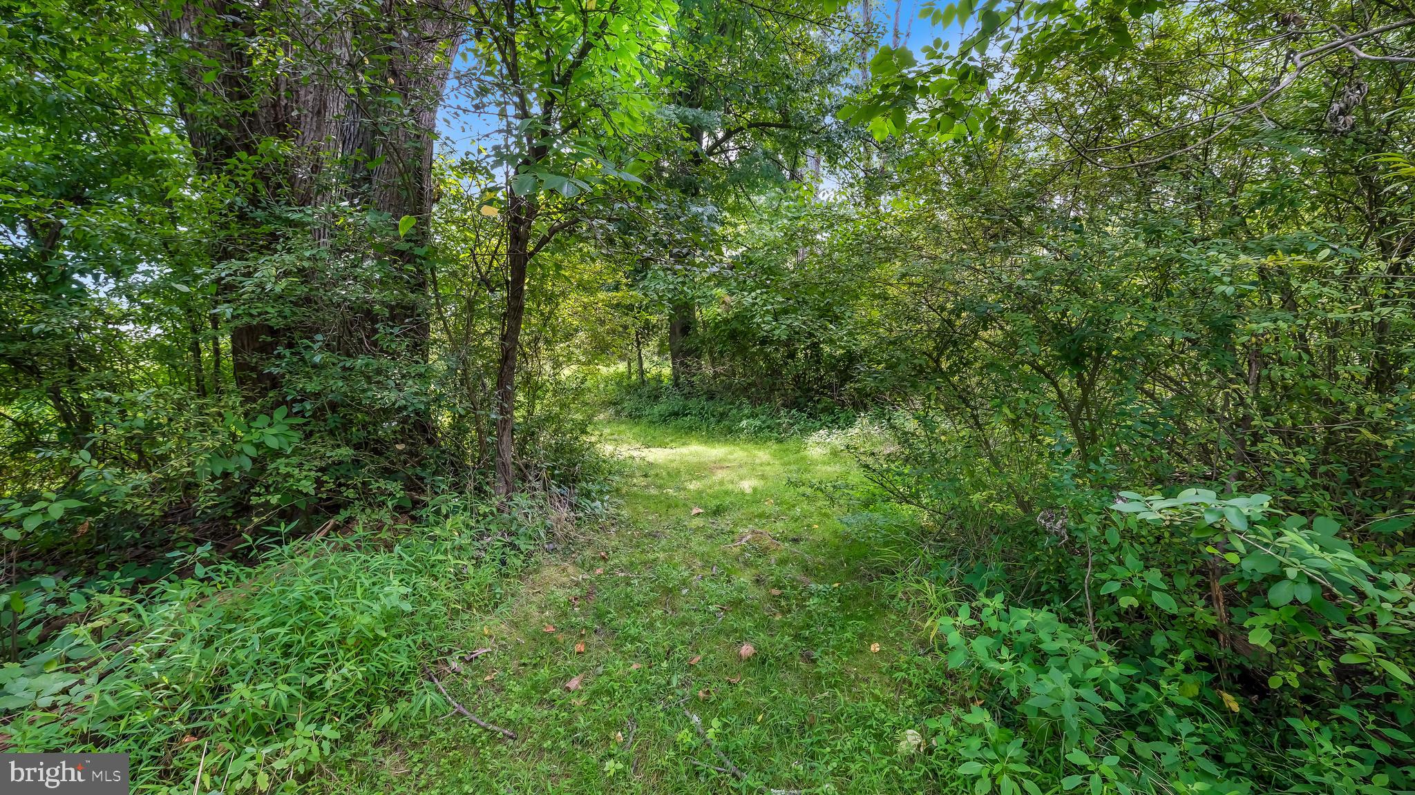 3751 Detweiler Road Chalfont, PA 18914 - Photo 58 of 61 Rear Woods w/Trails