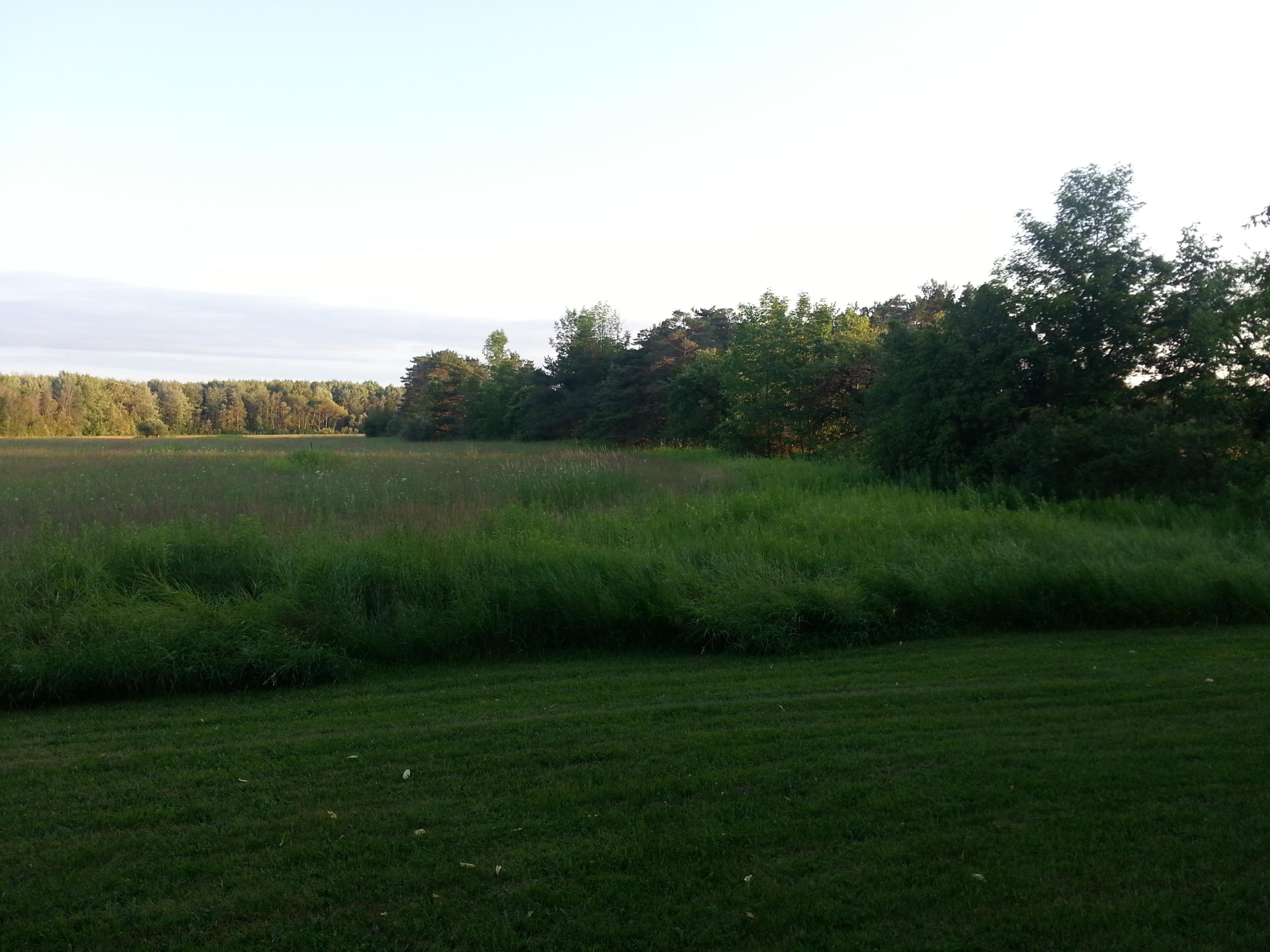 14429 Long Rapids Road Lachine, MI 49753 - Photo 13 of 34 Gallery Image 13
