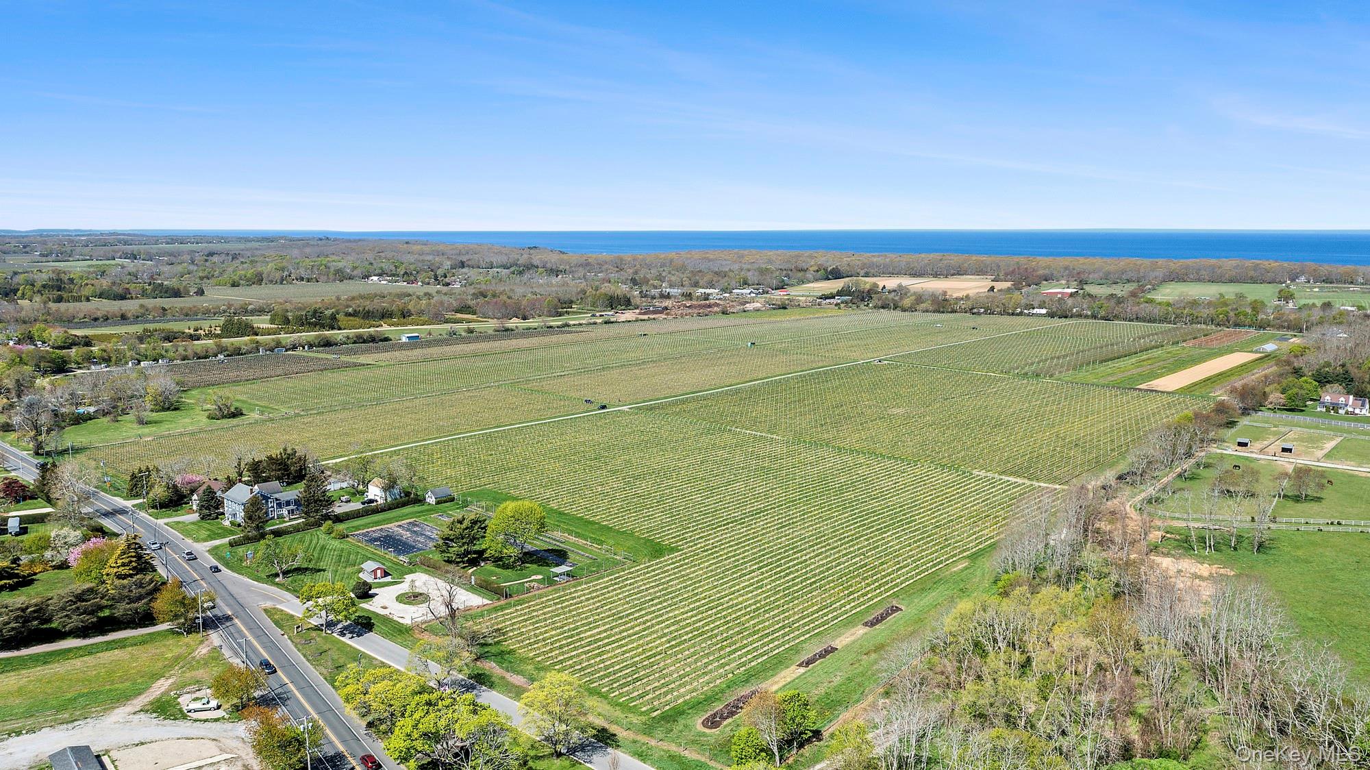 46975 Main Road Southold, NY 11971 - Photo 19 of 27