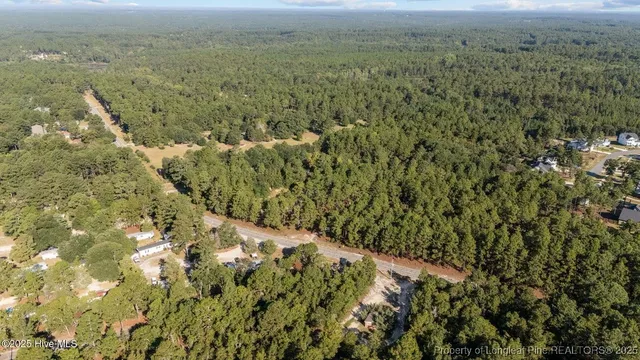 a close up of a plant