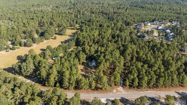 a view of a forest with a lake