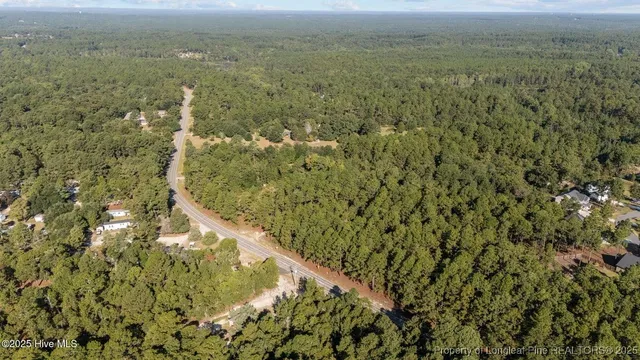 a picture of a tree in a yard