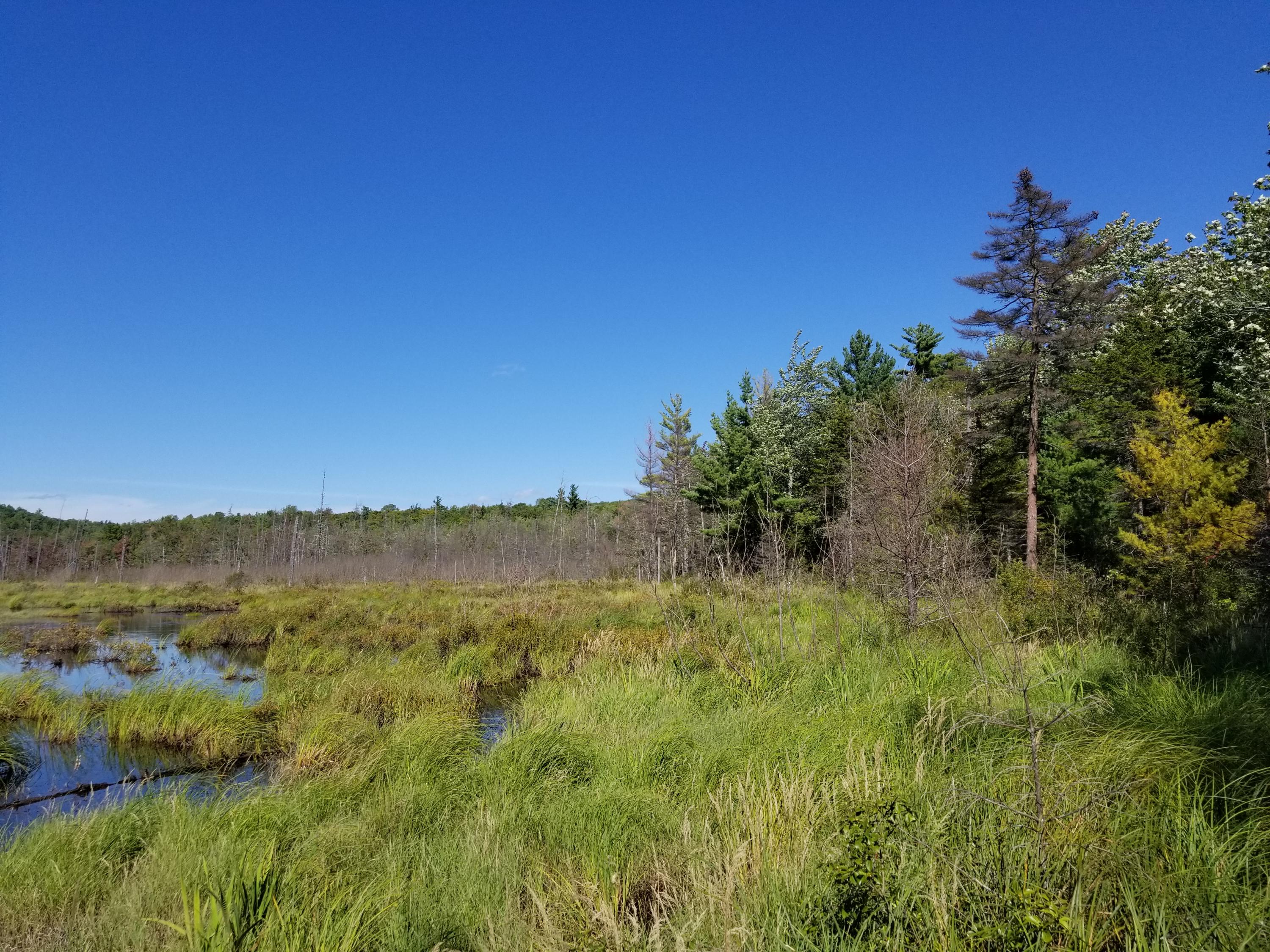 0 Weld Road Phillips, ME 04966 - Photo 24 of 47 20190905_142917