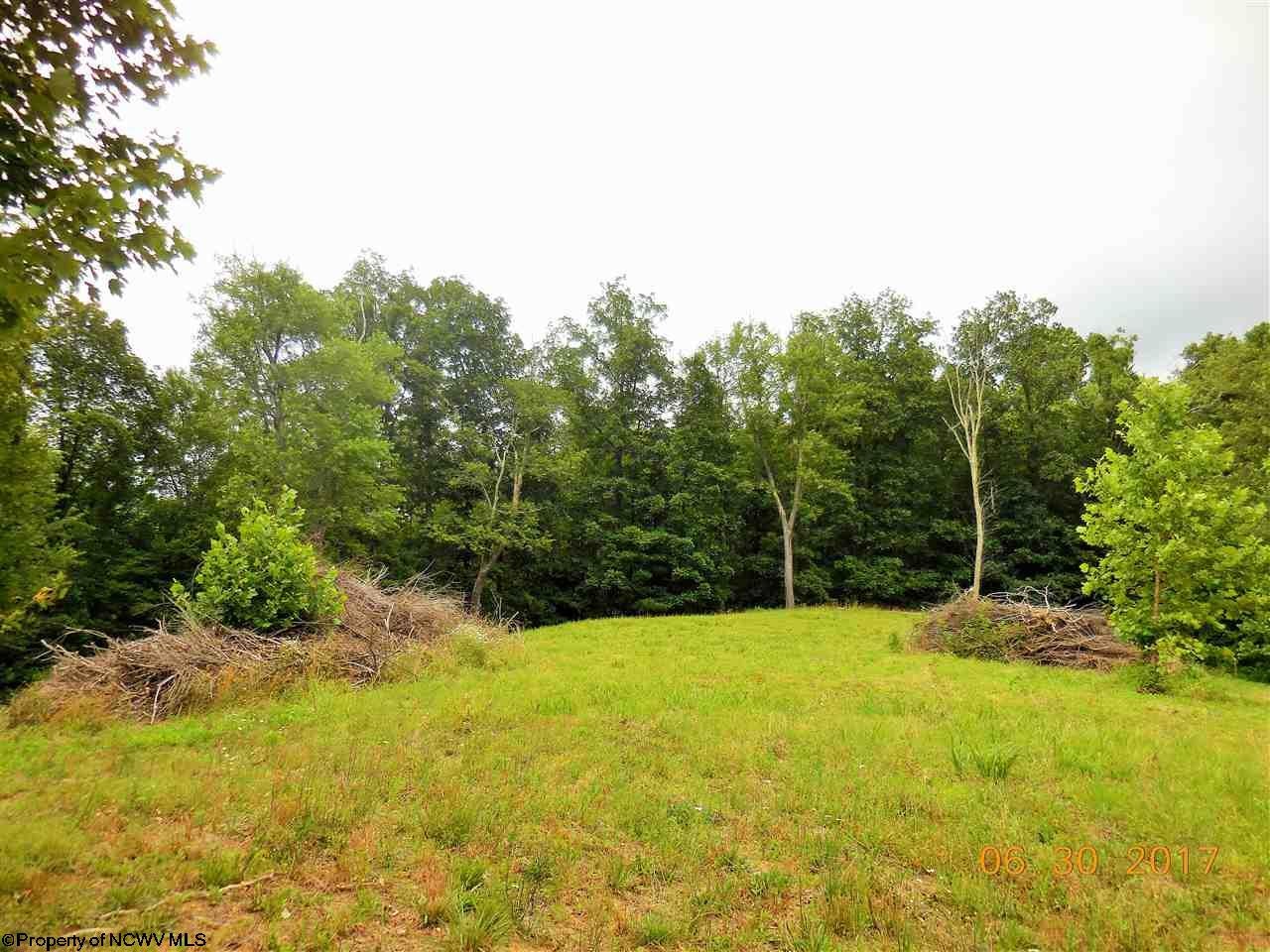 1754 Stouts Run Road Mount Clare, WV 26408 - Photo 13 of 14 Gallery Image 13