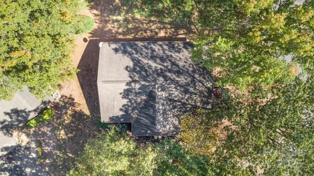 a view of a tree in a yard