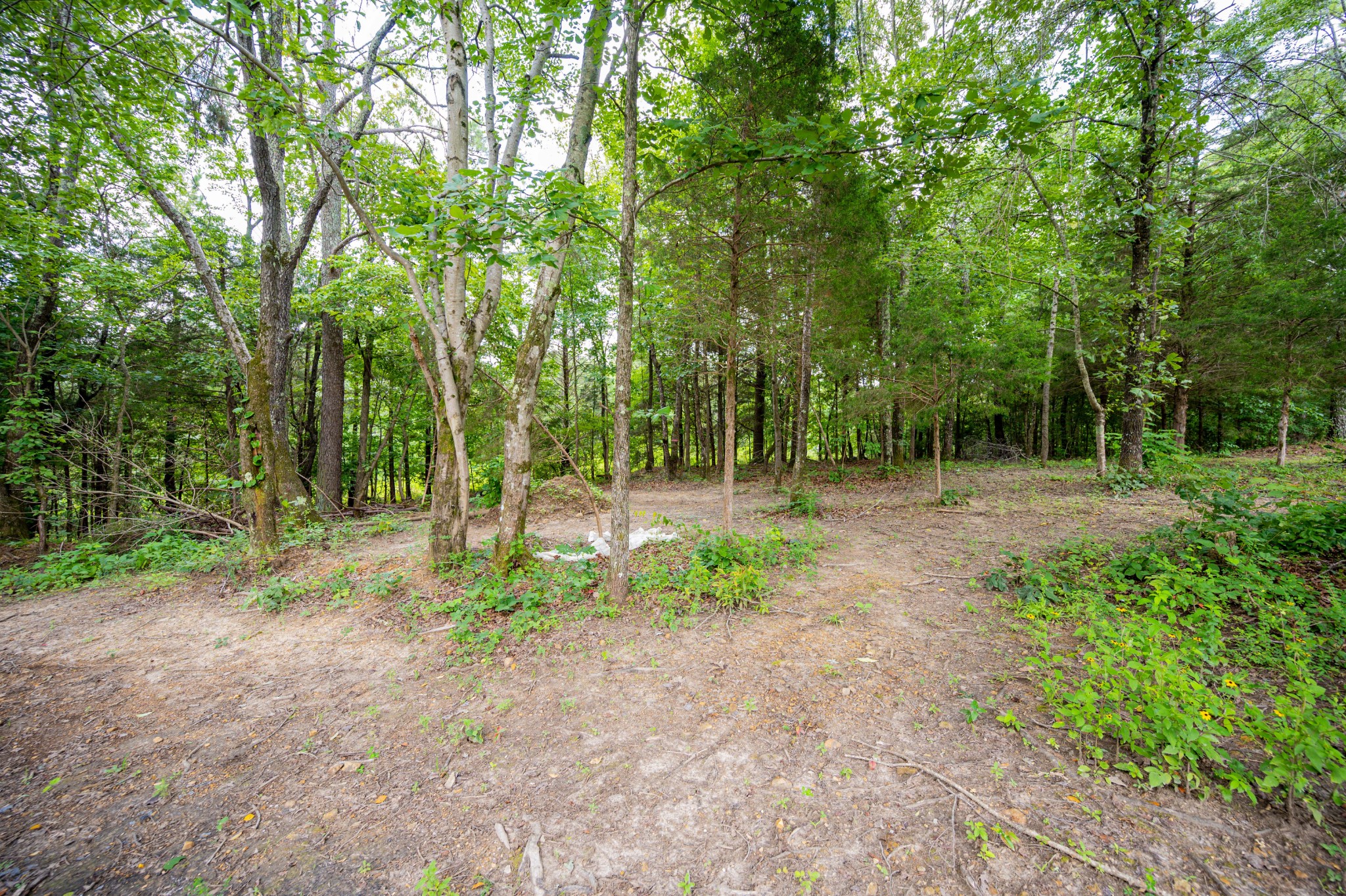 201 Victor Cabbage Road Hohenwald, TN 38462 - Photo 24 of 25 Gallery Image 24