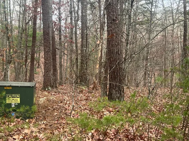 a backyard of a house with lots of green space and a fountain