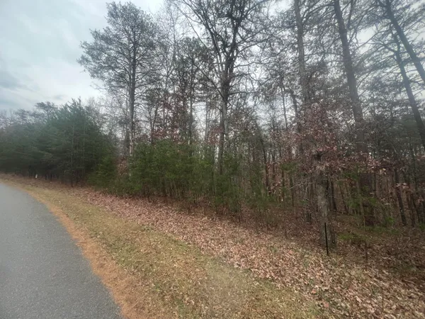 $40,000 | 2851 Lindsay Drive, Elliston, VA 24087