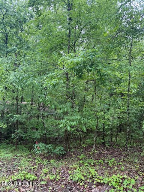 Lot 71 Block B Holiday Hills Como, MS 38619 - Photo 2 of 6 IMG_4207