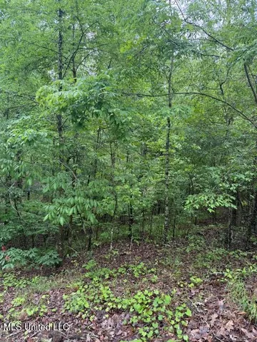 $2,000 | Lot 71 Block B Holiday Hills, Como, MS 38619