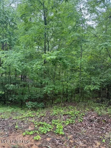 $2,000 | Lot 71 Block B Holiday Hills, Como, MS 38619