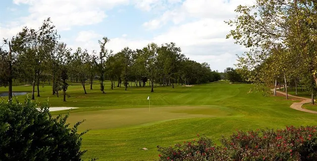 a view of a big yard with a large trees