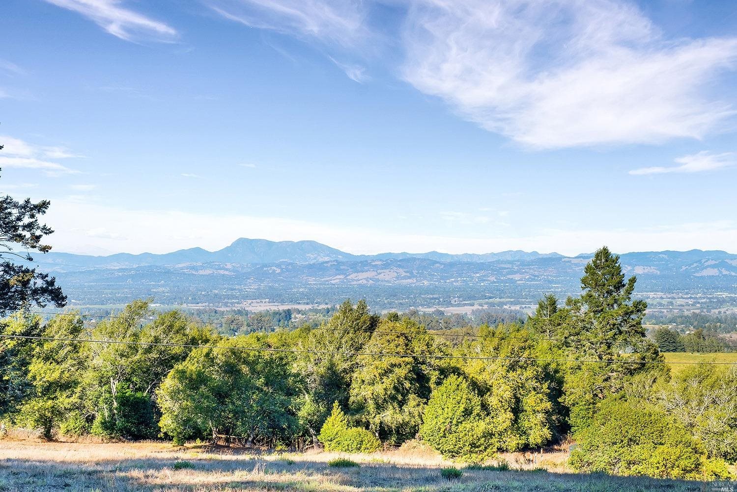 5120 Burnside Road Sebastopol, CA 95472 - Photo 1 of 1 a view of a lush green field with mountains in the background