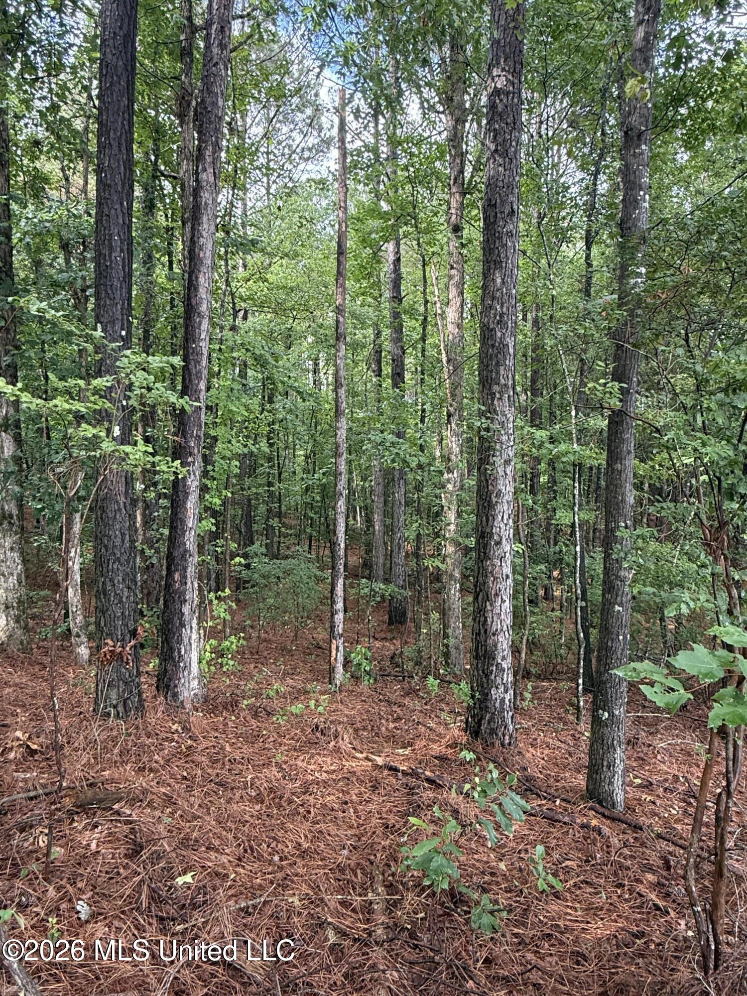 2136 Co Road McCool, MS 39108 - Photo 20 of 29 IMG_5896