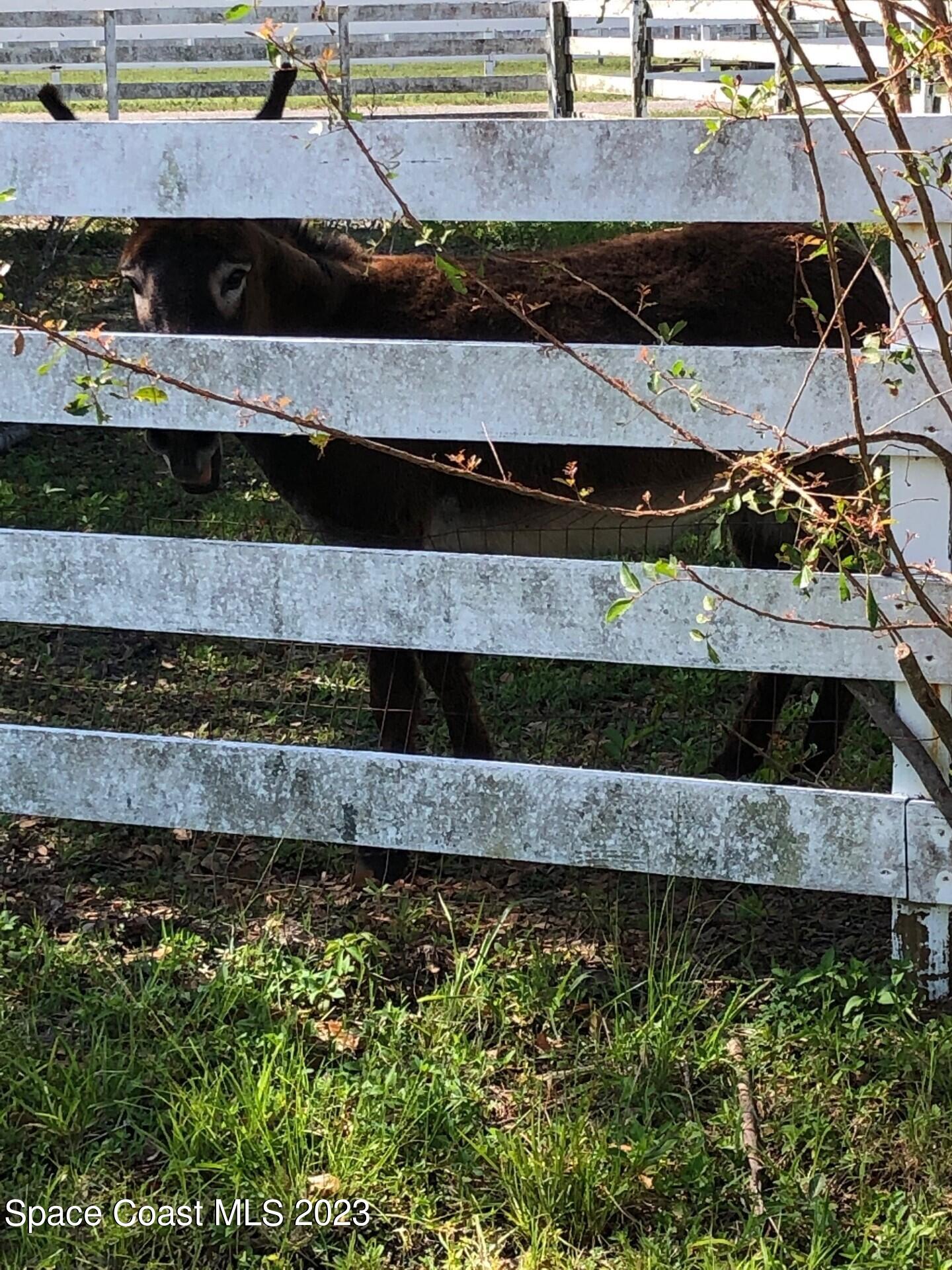 580 Hall Road Malabar, FL 32950 - Photo 8 of 9 a view of house with outdoor space