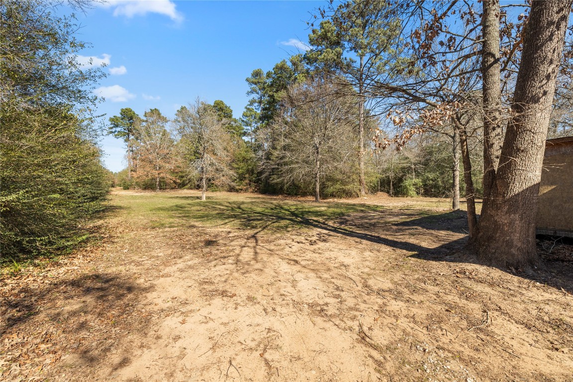 21150 Arnsworth Road Montgomery, TX 77356 - Photo 7 of 35 a view of yard with trees