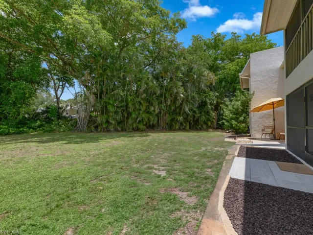 a view of a backyard