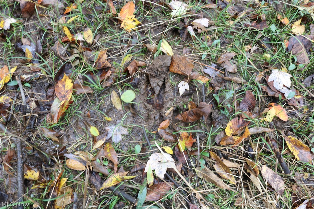 North Richmond Road Pierpont, OH 44082 - Photo 27 of 34 Gallery Image 27
