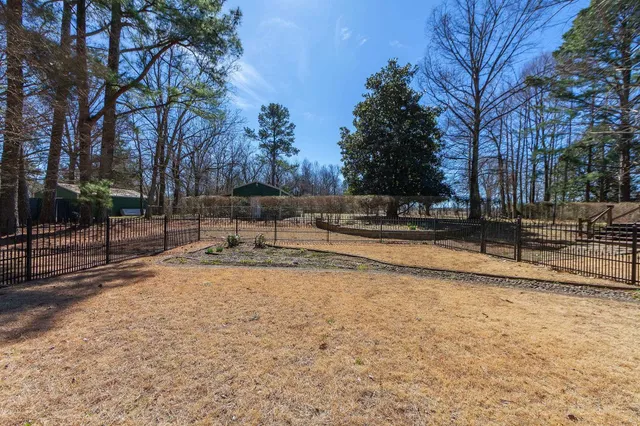 a view of a park with trees