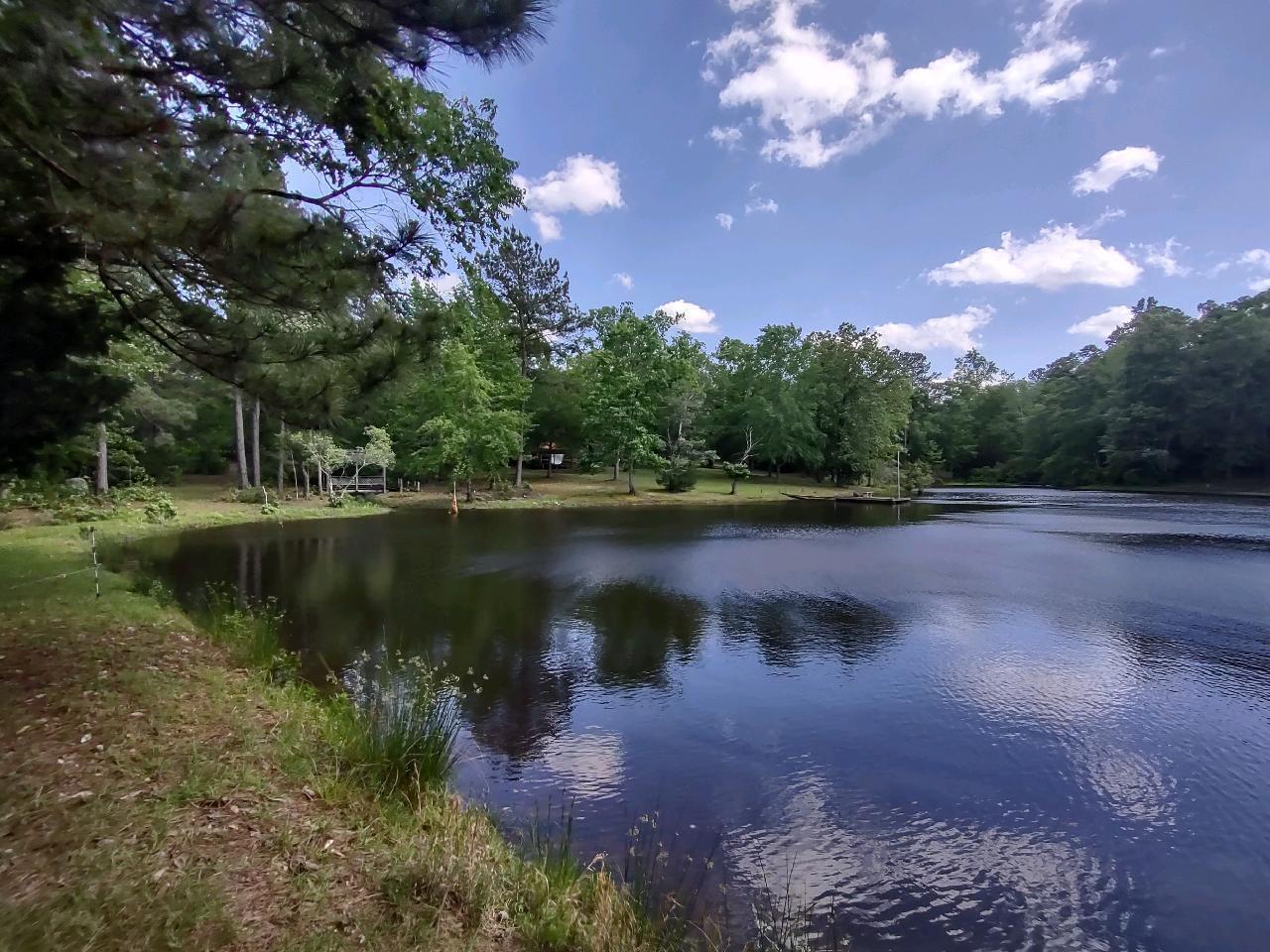 1125 Sims Road Lincolnton, GA 30817 - Photo 23 of 41 16721 (1)