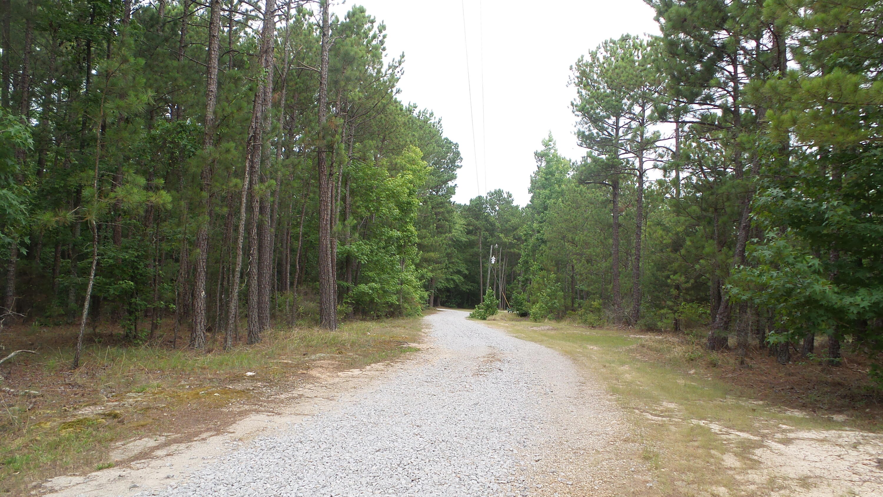 1125 Sims Road Lincolnton, GA 30817 - Photo 28 of 41 20240627_085130