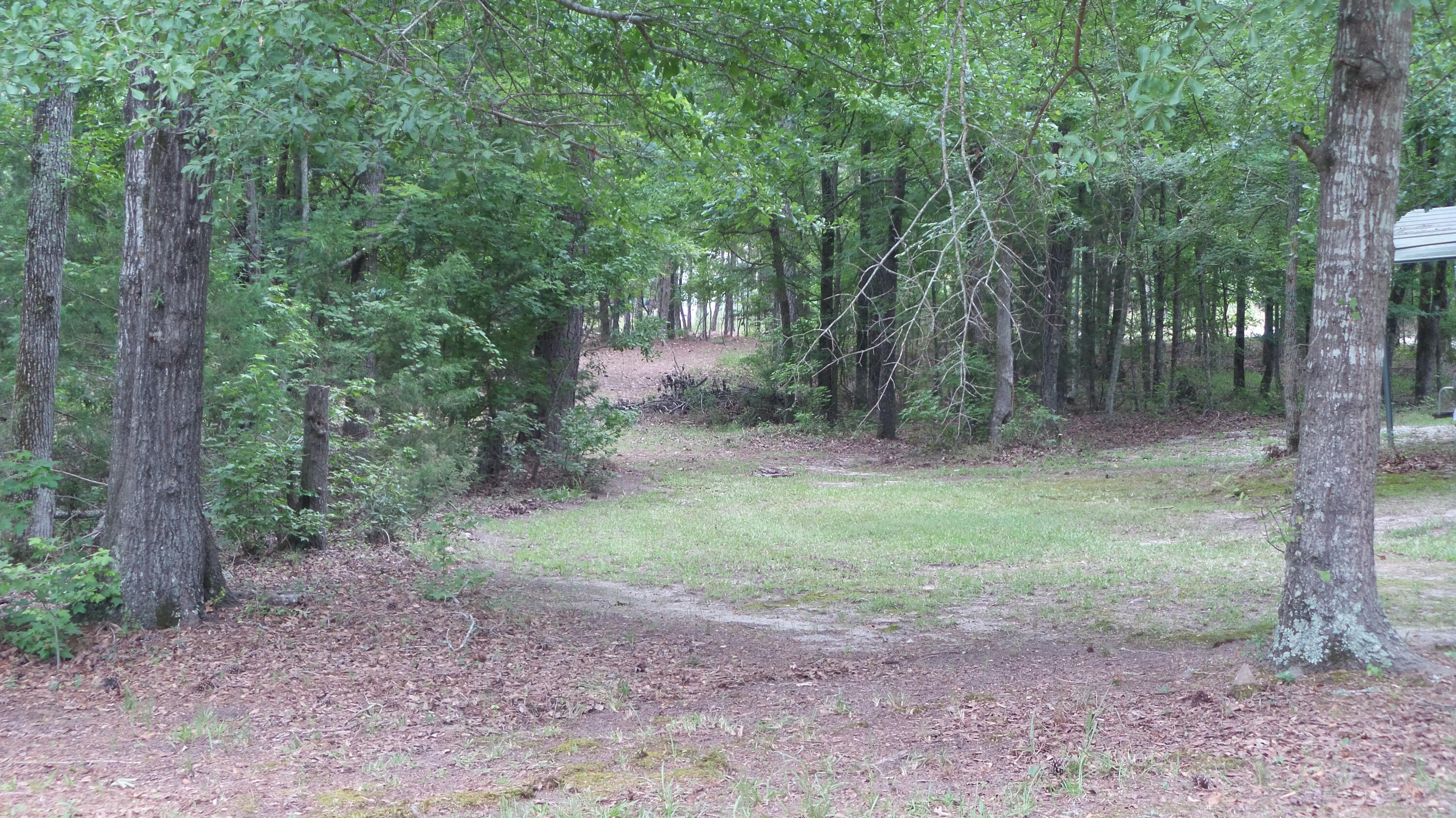 1125 Sims Road Lincolnton, GA 30817 - Photo 32 of 41 20240627_090443