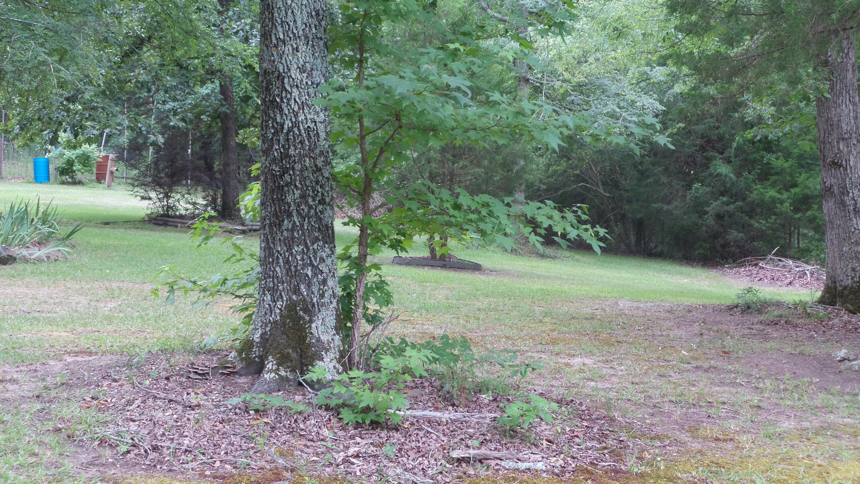 1125 Sims Road Lincolnton, GA 30817 - Photo 33 of 41 20240627_090456