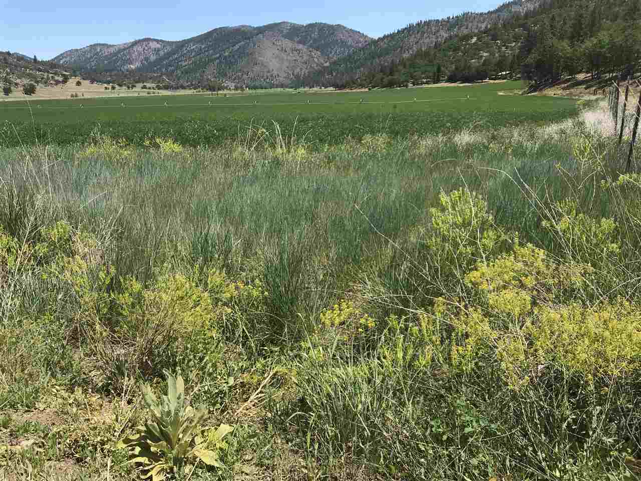 300 Mineral Range Road Fort Jones, CA 96032 - Photo 6 of 27 Gallery Image 6
