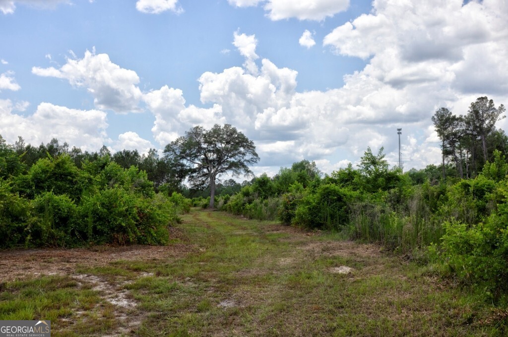 0 Highway 204 & Carlos Cowart Road Pembroke, GA 31321 - Photo 44 of 47