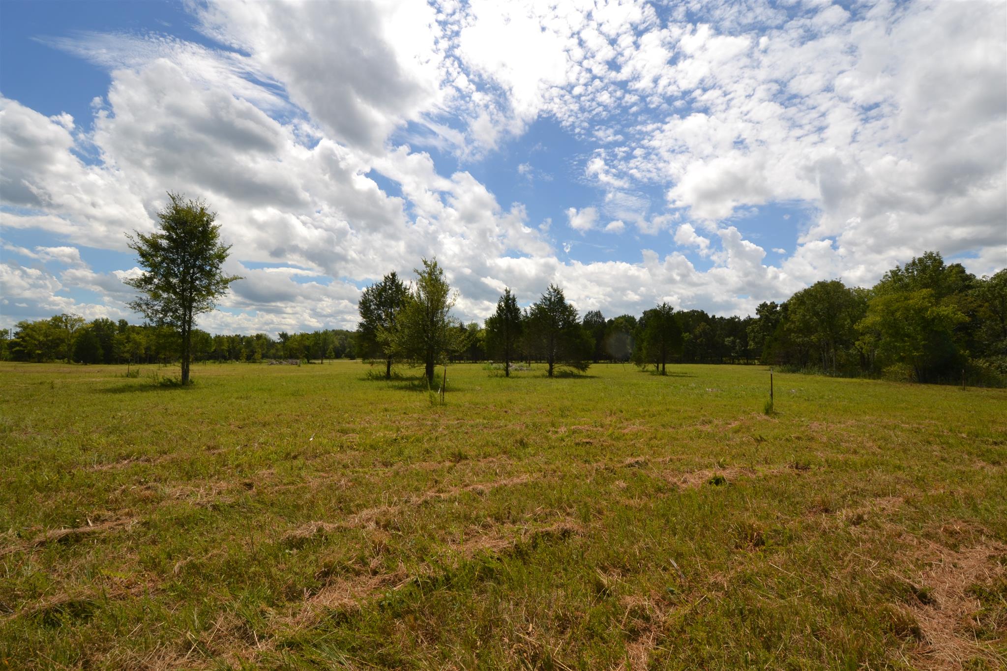 2 Fall Creek Road Lebanon, TN 37090 - Photo 1 of 8 a view of an ocean