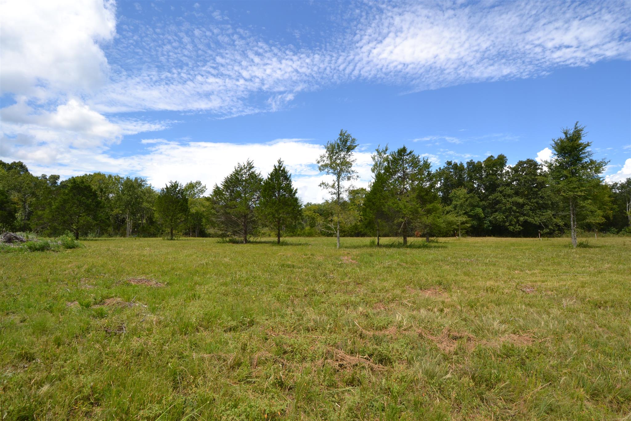 2 Fall Creek Road Lebanon, TN 37090 - Photo 4 of 8 a view of outdoor space and yard