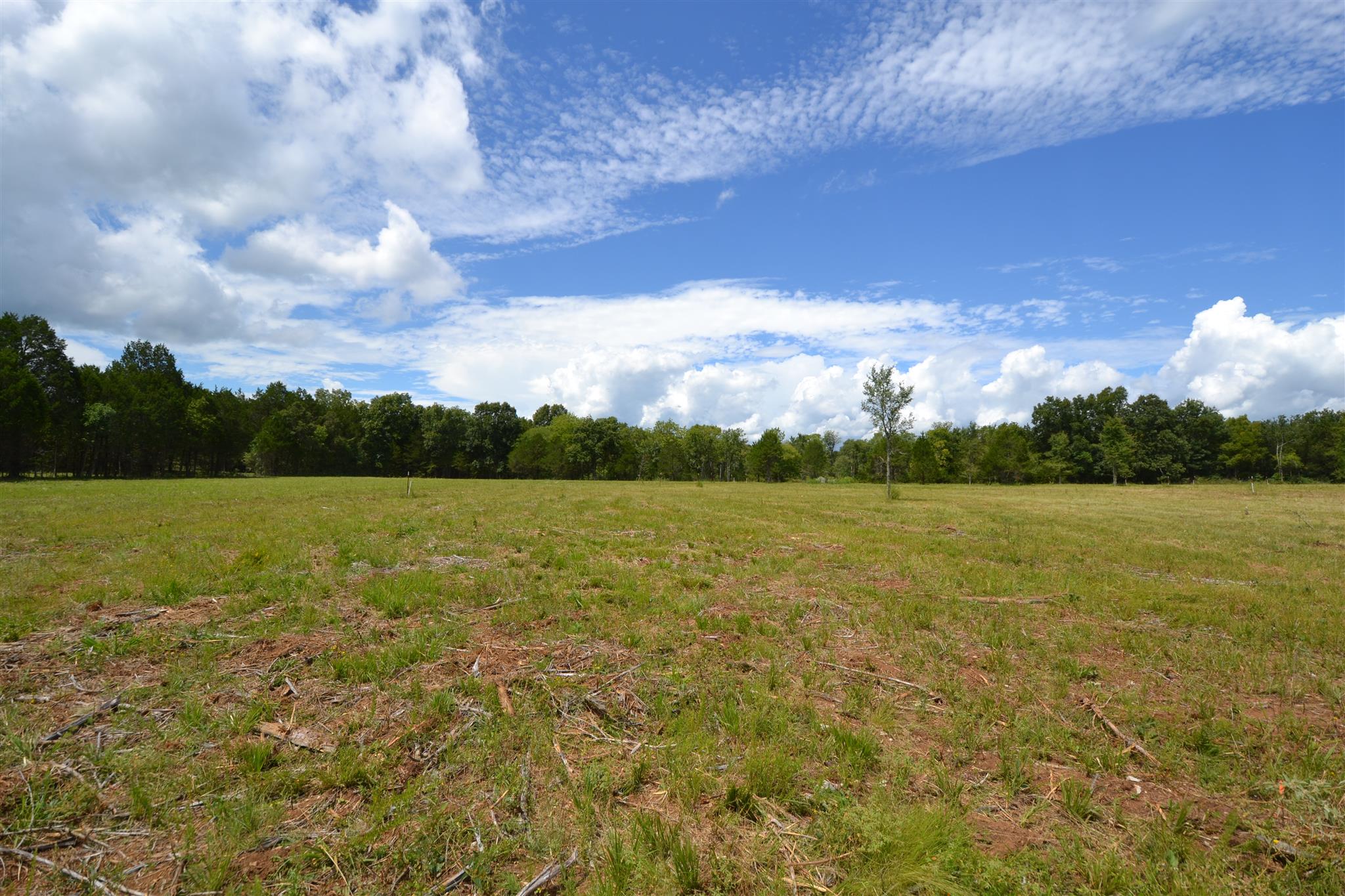 2 Fall Creek Road Lebanon, TN 37090 - Photo 6 of 8 a view of outdoor space with green field