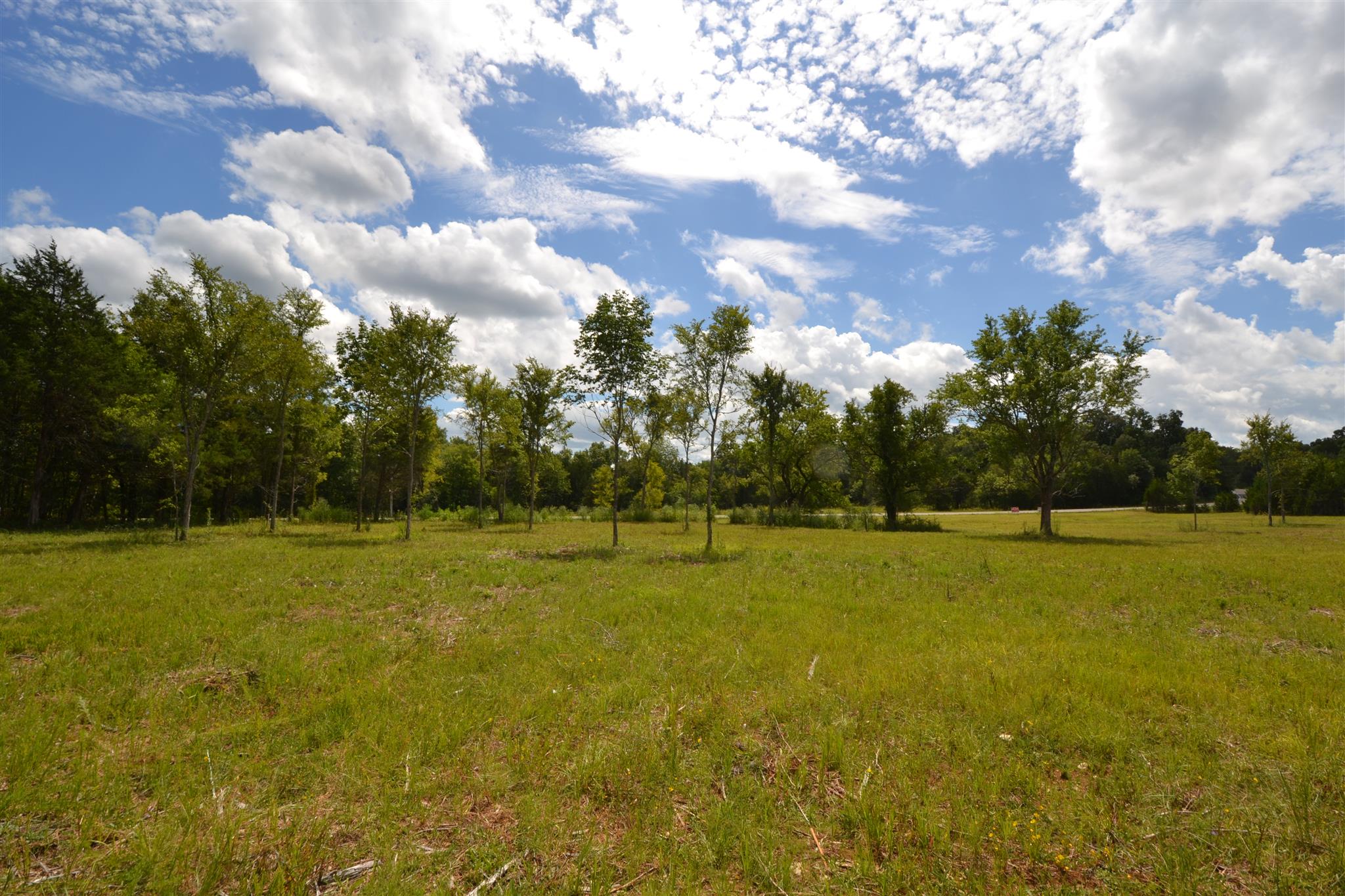 2 Fall Creek Road Lebanon, TN 37090 - Photo 8 of 8 a view of field and trees