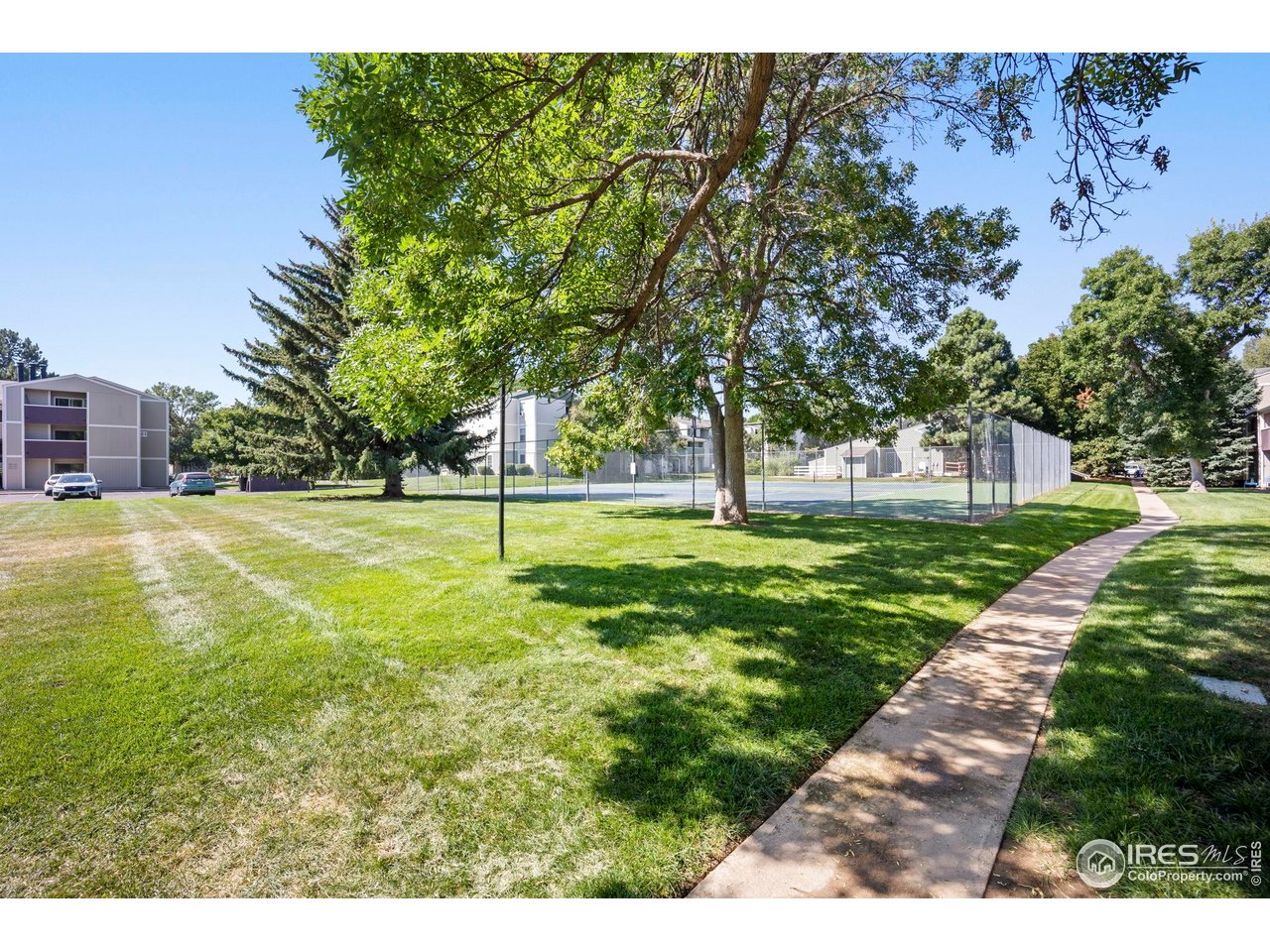3431 Stover Street, Unit 513 Fort Collins, CO 80525 - Photo 23 of 28 a view of a volley ball court
