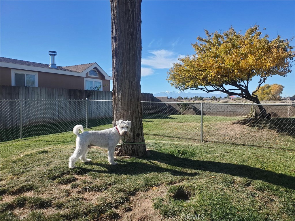 21621 Sandia Road, Unit 150 Apple Valley, CA 92308 - Photo 43 of 45 a view of a backyard with sitting area