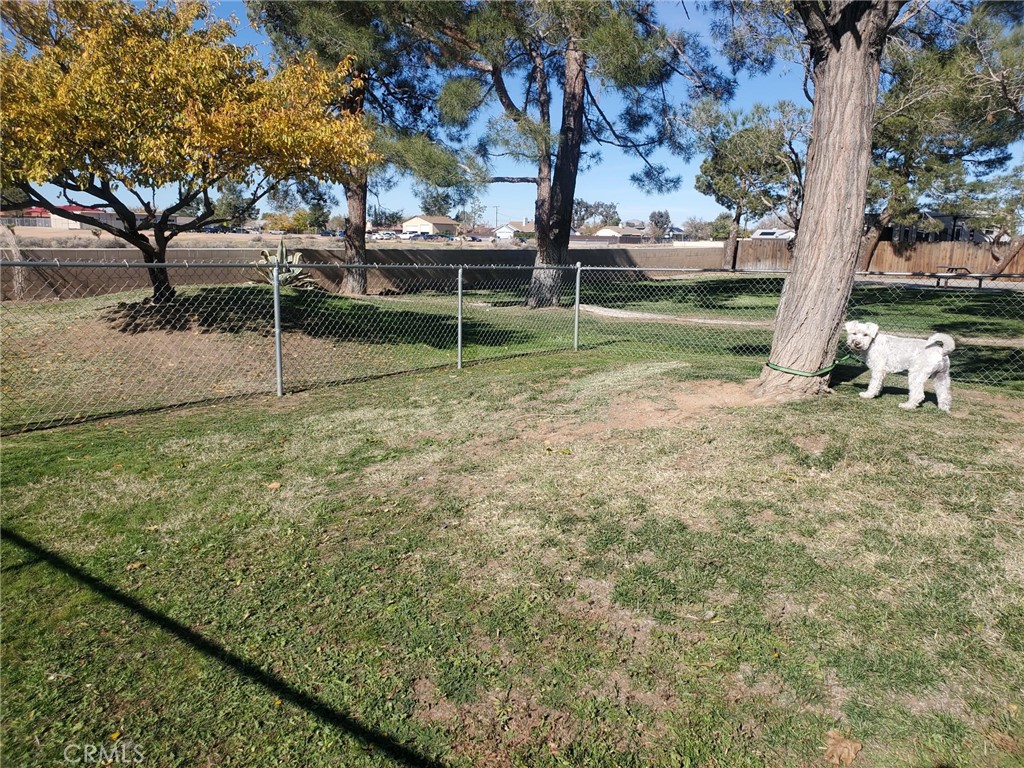 21621 Sandia Road, Unit 150 Apple Valley, CA 92308 - Photo 44 of 45 a view of a park with large trees