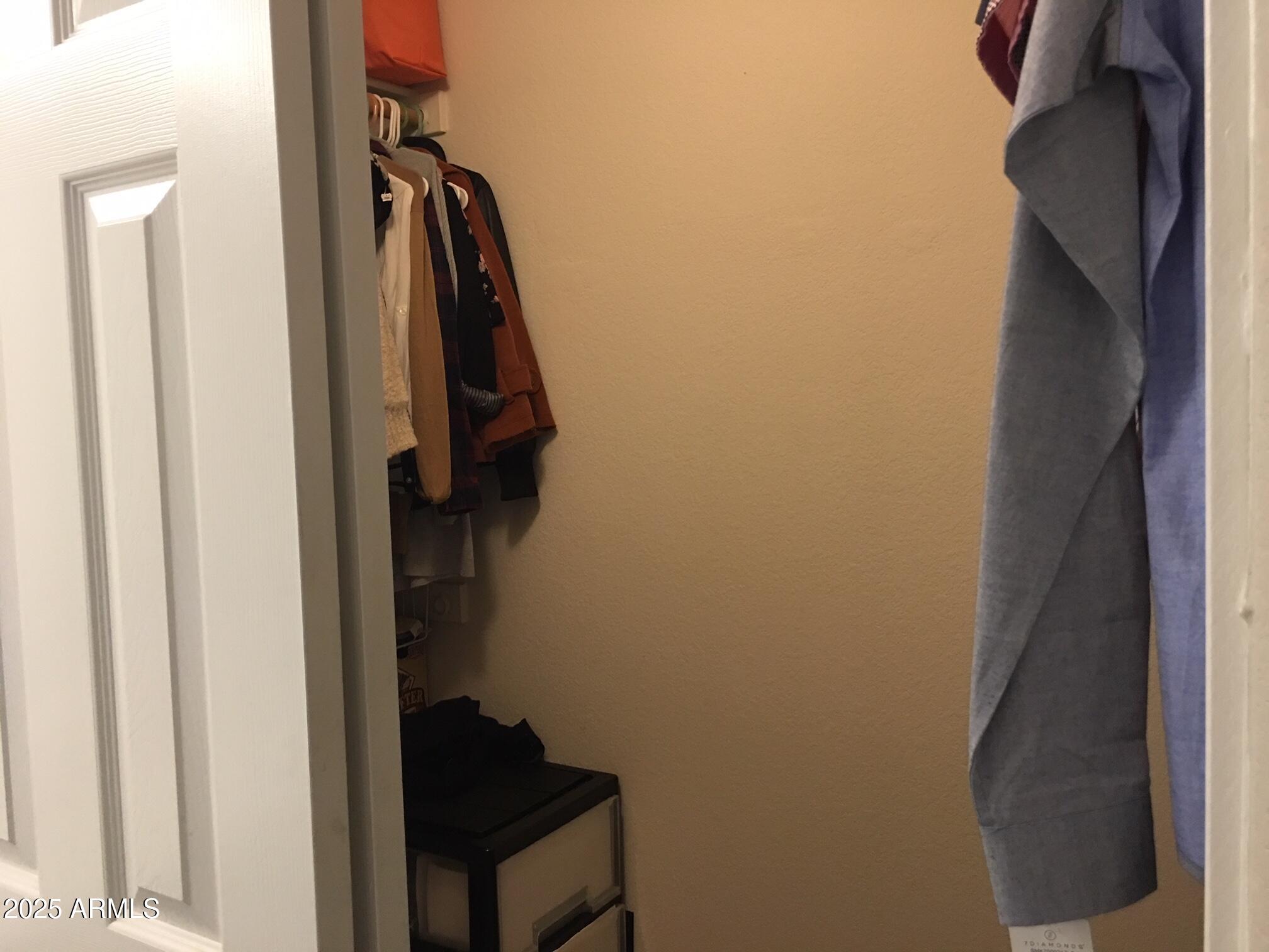 1373 West Kesler Lane Chandler, AZ 85224 - Photo 22 of 25 a view of walk in closet