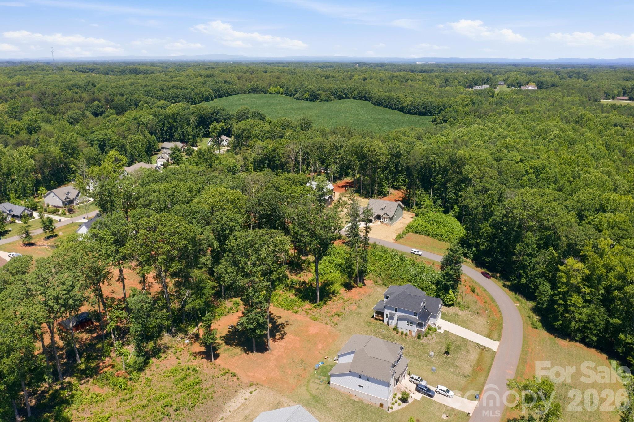 3180 Timber Run Lane Maiden, NC 28650 - Photo 13 of 18